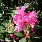 Bed and Breakfast Les Fleurs Du Mont 3*